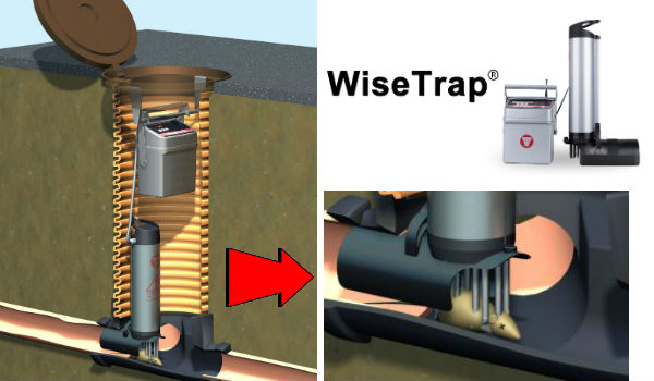 wisetrap-ratas